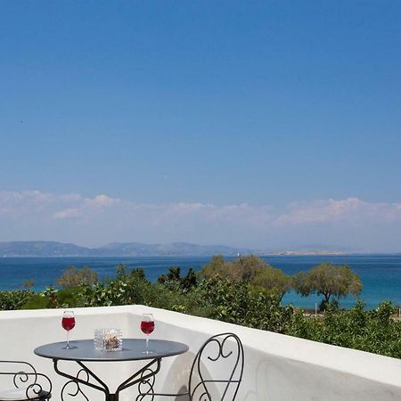 Aneli Luxury Villas-Villa Aegina Exterior photo